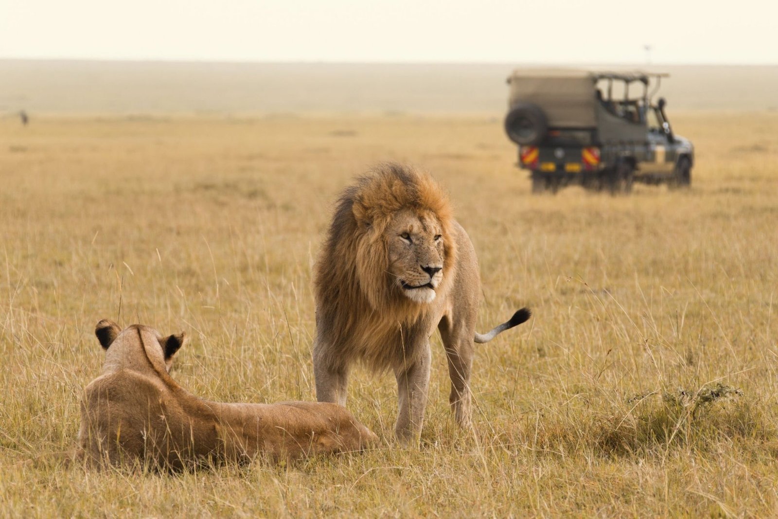 Ultimate Kenyan Safari Experience